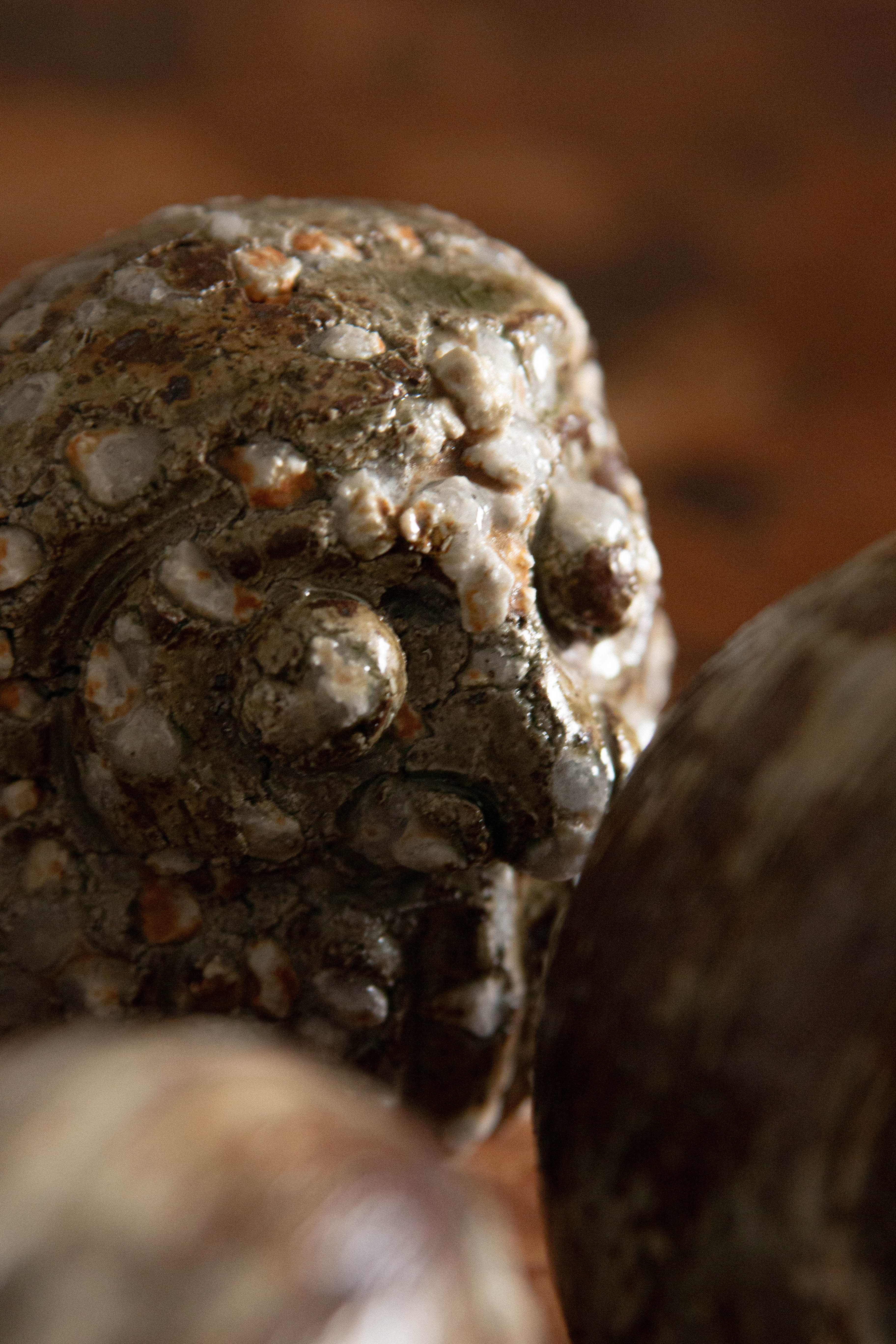 Anayama Daisuke | Ko-Daruma Wrapped in Scenery 景色ヲ纏ウ達磨