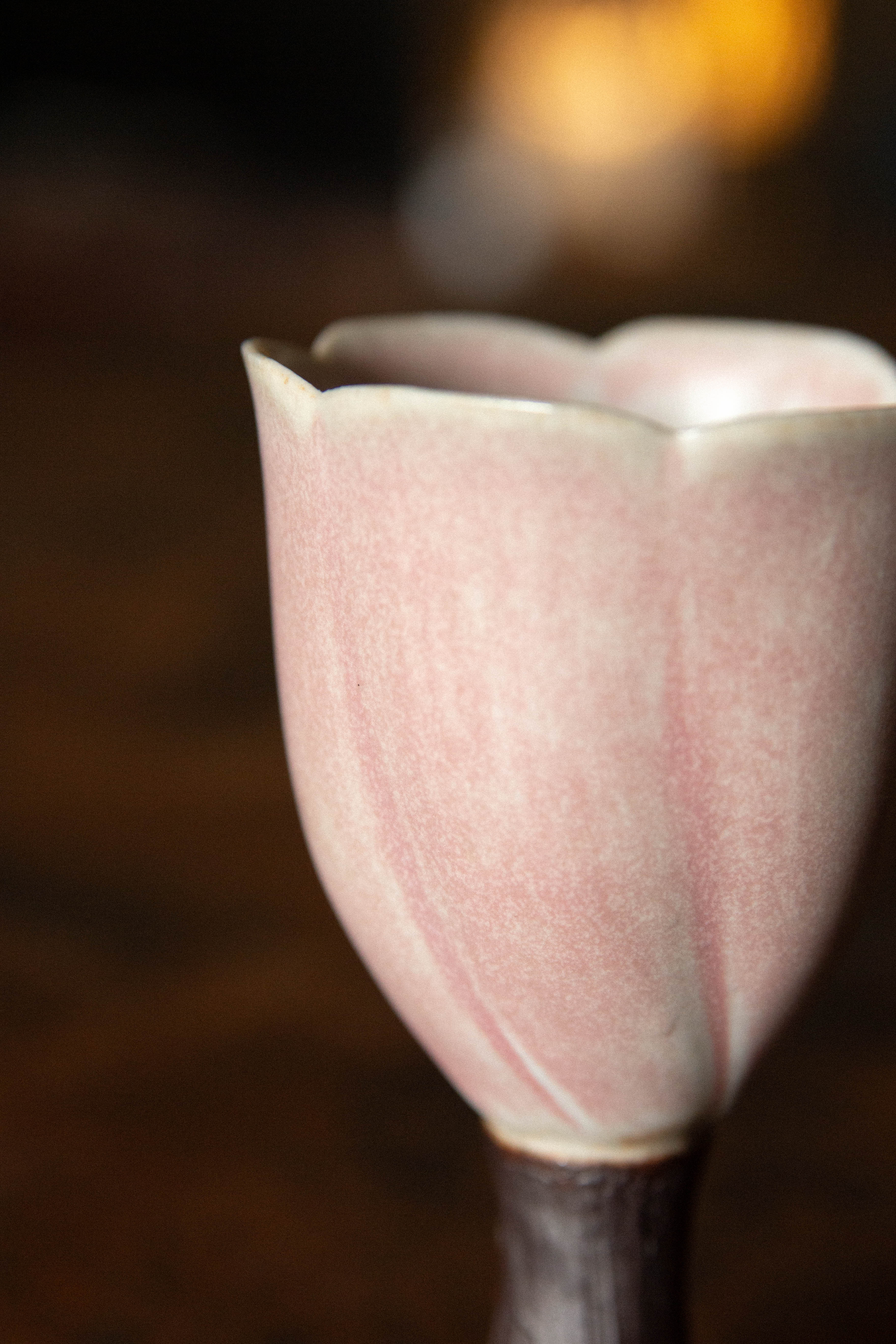 Two Potters | Tall Tulip Goblets